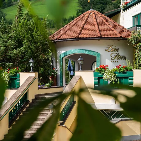 Sonnenhotel Zum Stern Hotel Bad Hofgastein