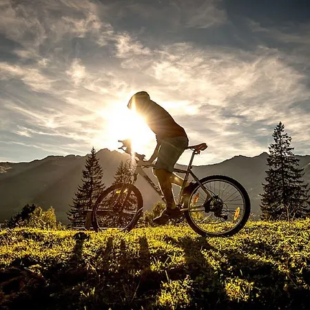 Отель Zum Stern Inkl Gasteiner Bergbahnen Im Sommer Бад Хофгаштайн