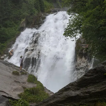 Zum Stern Inkl Gasteiner Bergbahnen Im Sommer 4* Бад Хофгаштайн