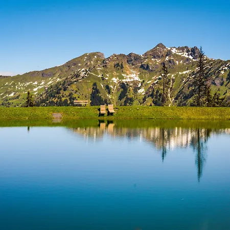 Hotel Zum Stern Inkl Gasteiner Bergbahnen Im Sommer